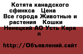 Котята канадского сфинкса › Цена ­ 15 - Все города Животные и растения » Кошки   . Ненецкий АО,Усть-Кара п.